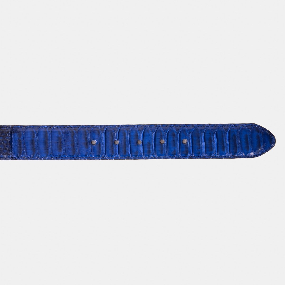 The Boss Navy Blue Pythn Snk Leather Belt - TLW Shoes
