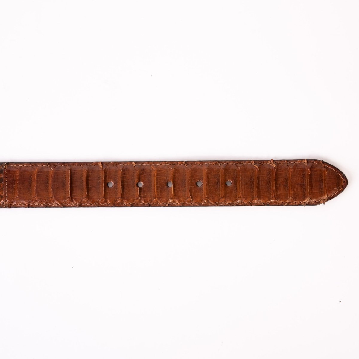 The Boss Tan Pythn Snk Leather Belt - TLW Shoes